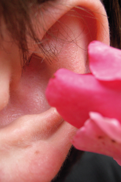 Begleitbild: Rose an einem Ohr